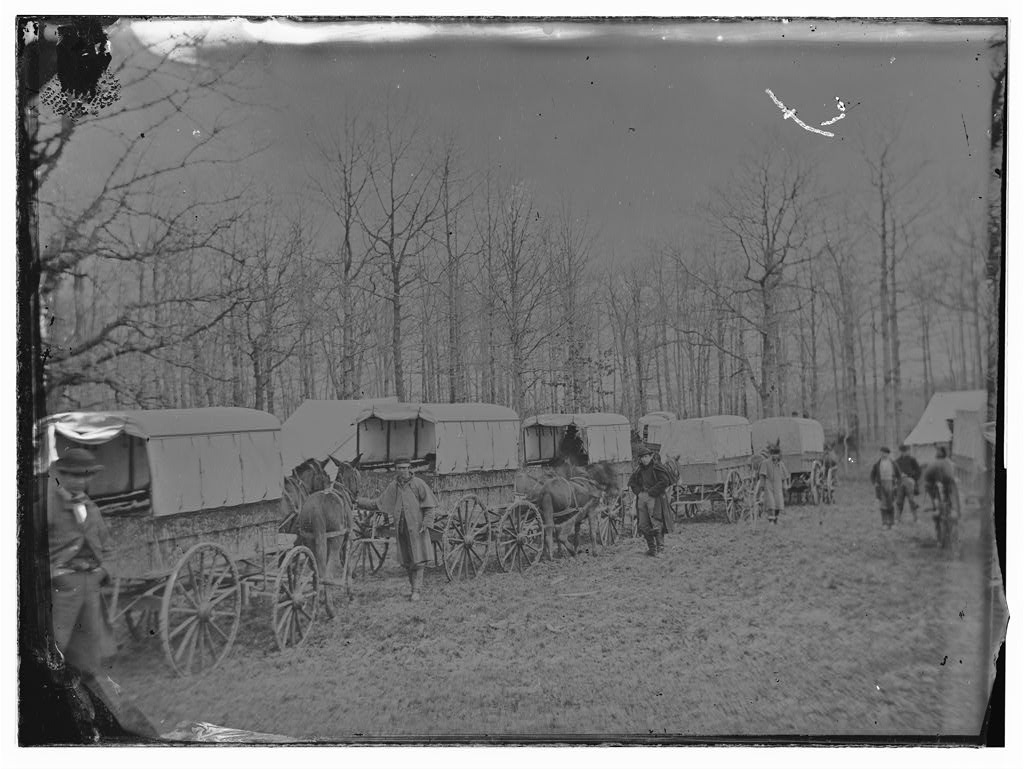 A long line of horse-drawn ambulances at Harewood Hospital in Washington in 1863